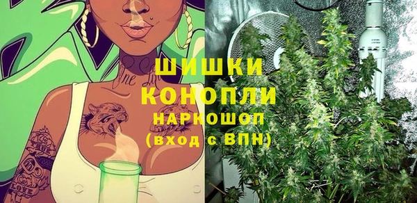 амф Осташков
