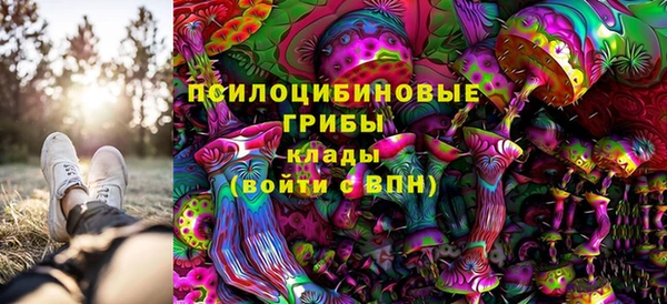 гашик Абдулино