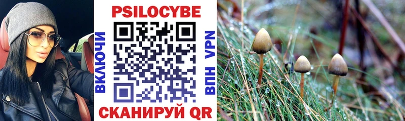 Галлюциногенные грибы прущие грибы Великий Новгород
